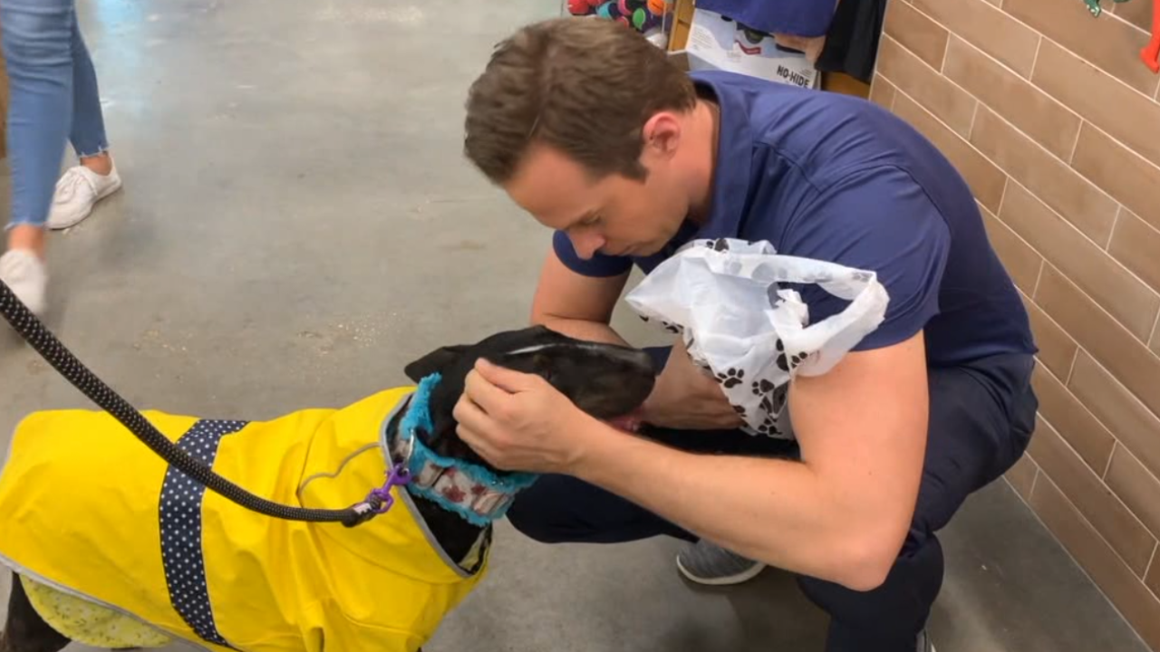 Tully's Tails: Treating Lilith to a bucket list day