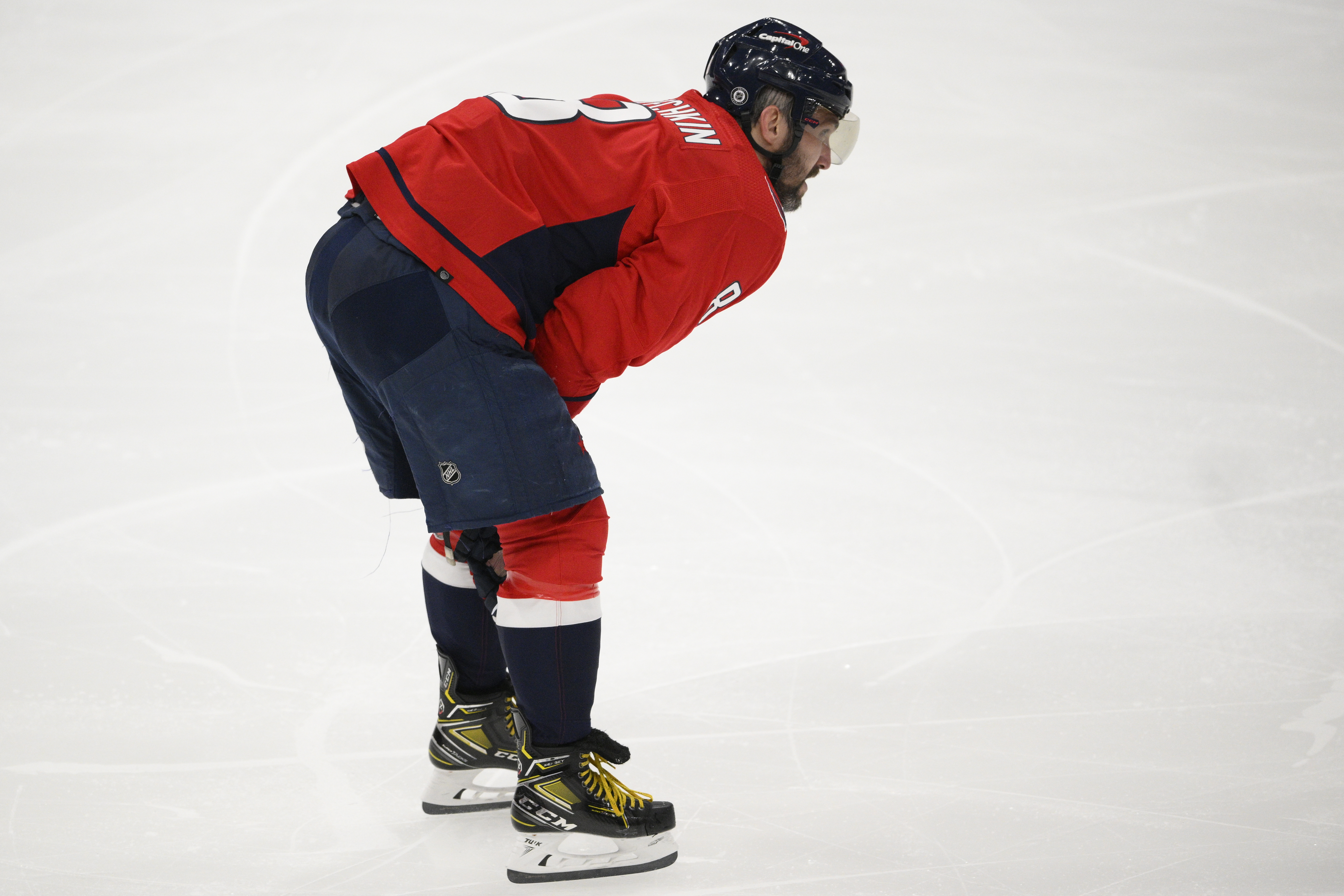 Maple Leafs Capitals Hockey
