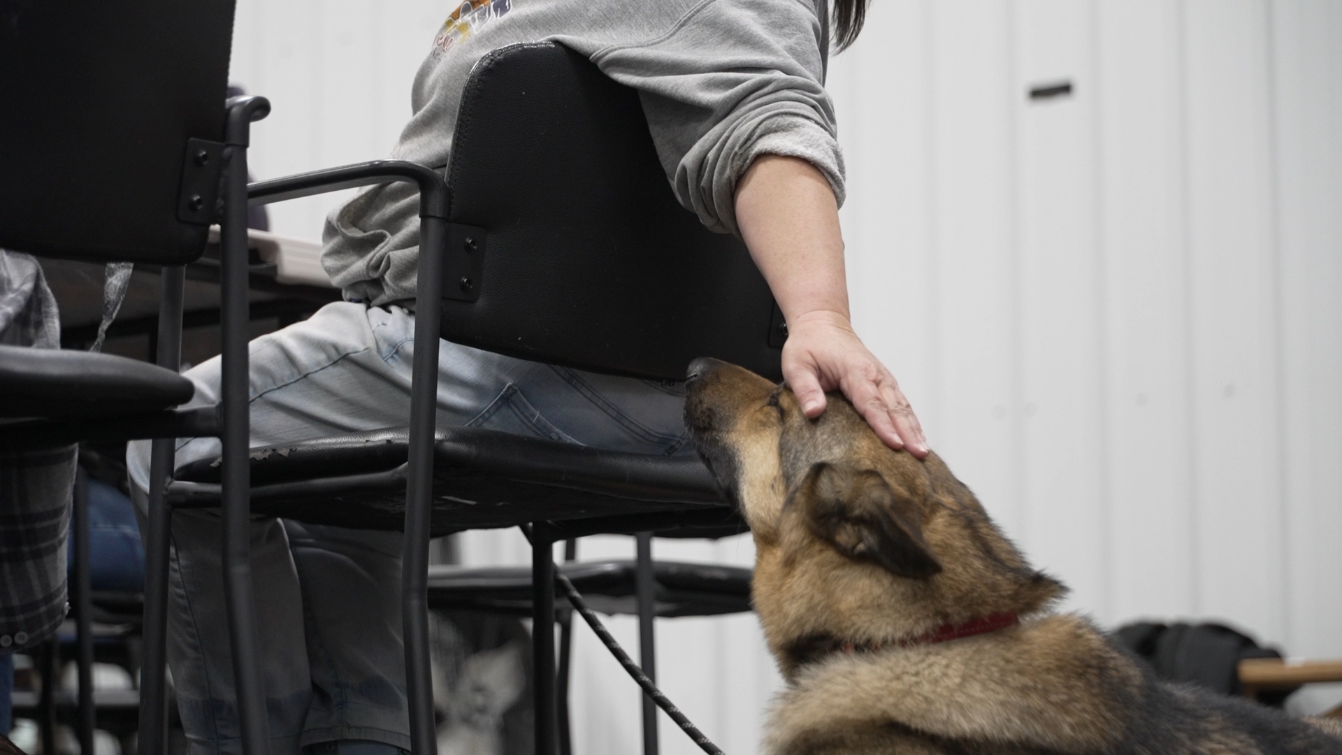 Dog Tag Buddies Funding