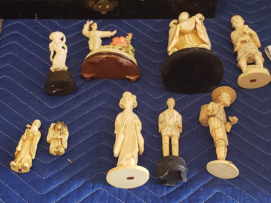 ivory_case1_012722.jpg