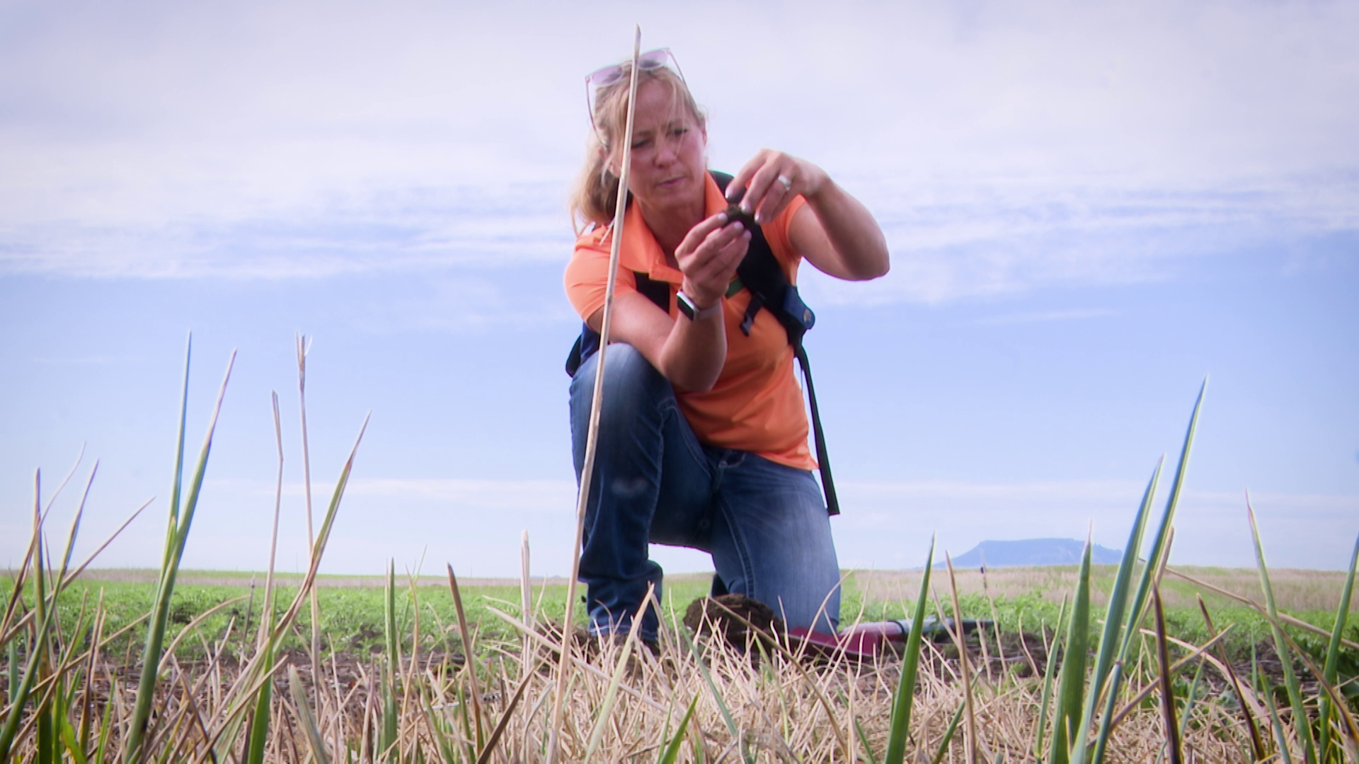 Montana Ag Network: Soil Health