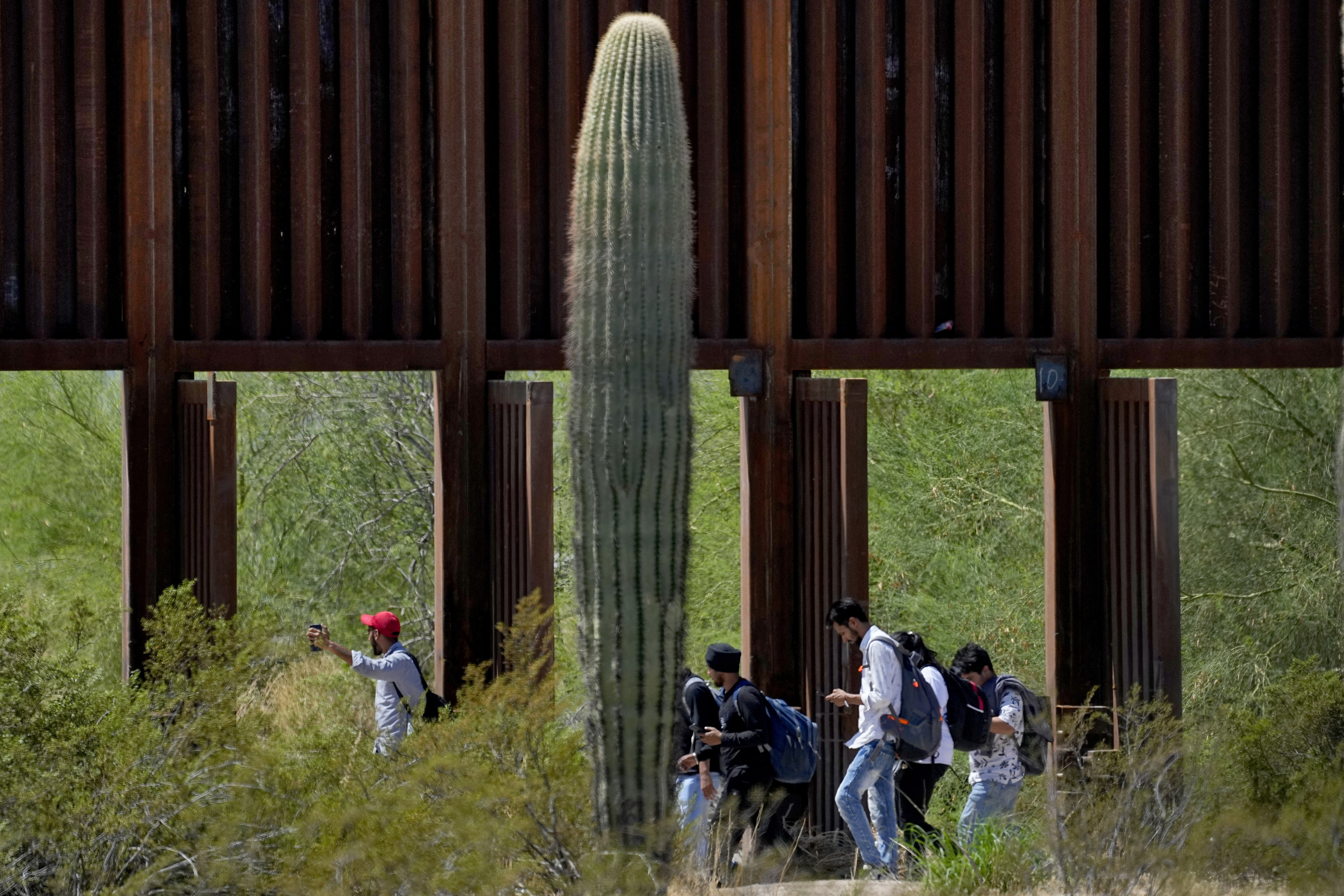 Election 2024 Arizona Immigration