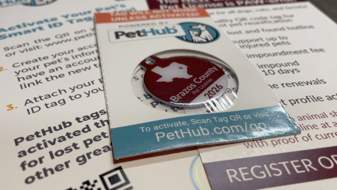 Brazos County launches smart pet tags to help lost animals get home faster