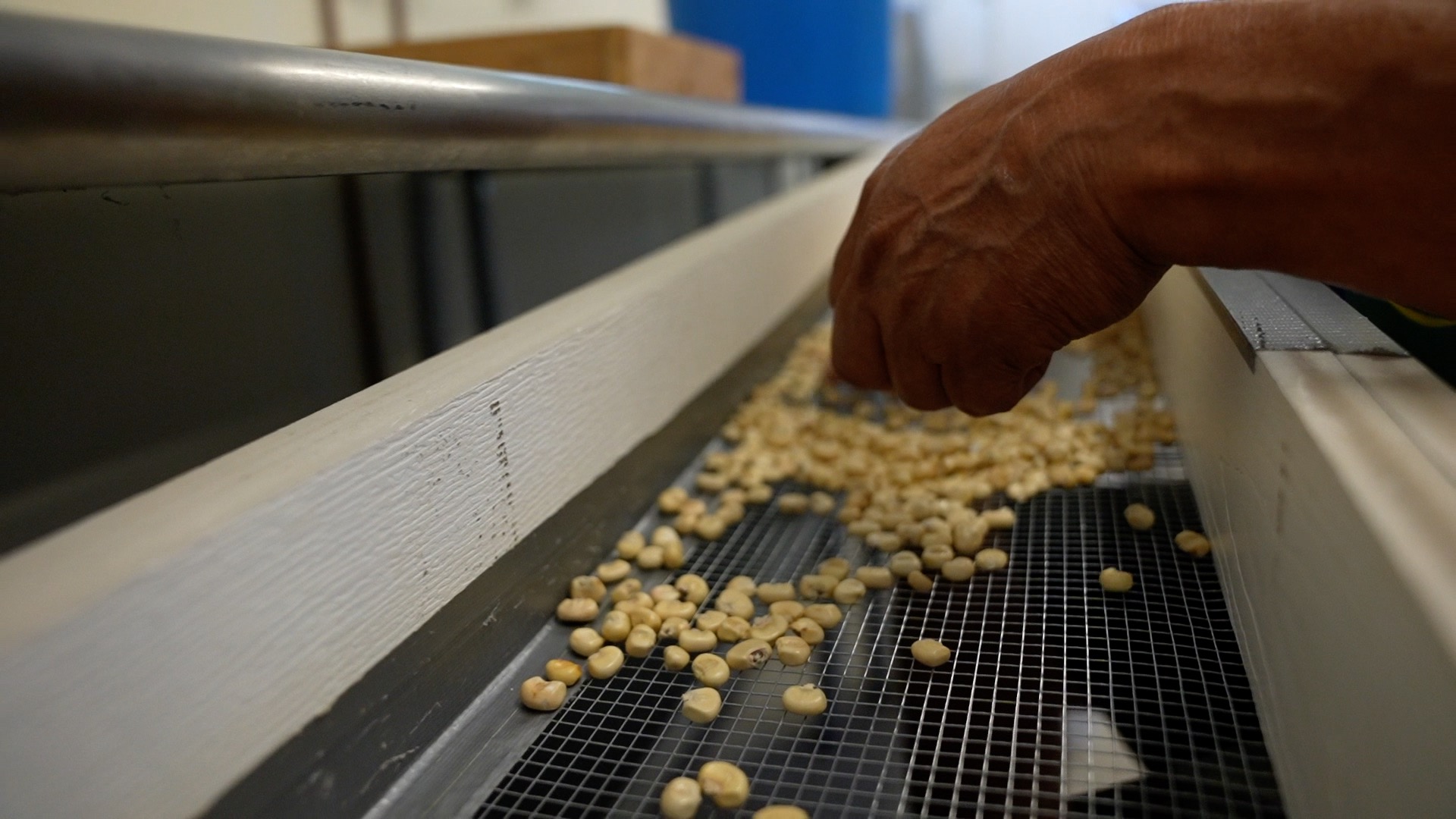 Indigenous Food Sovereignty 