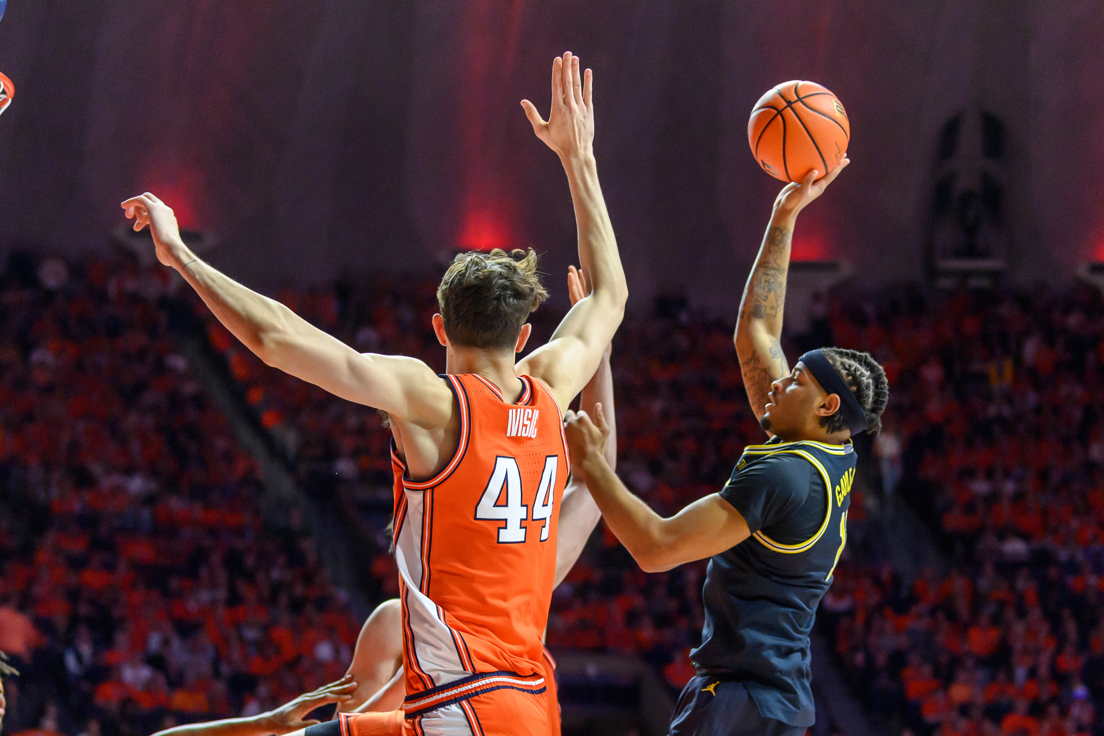 Michigan Illinois Basketball