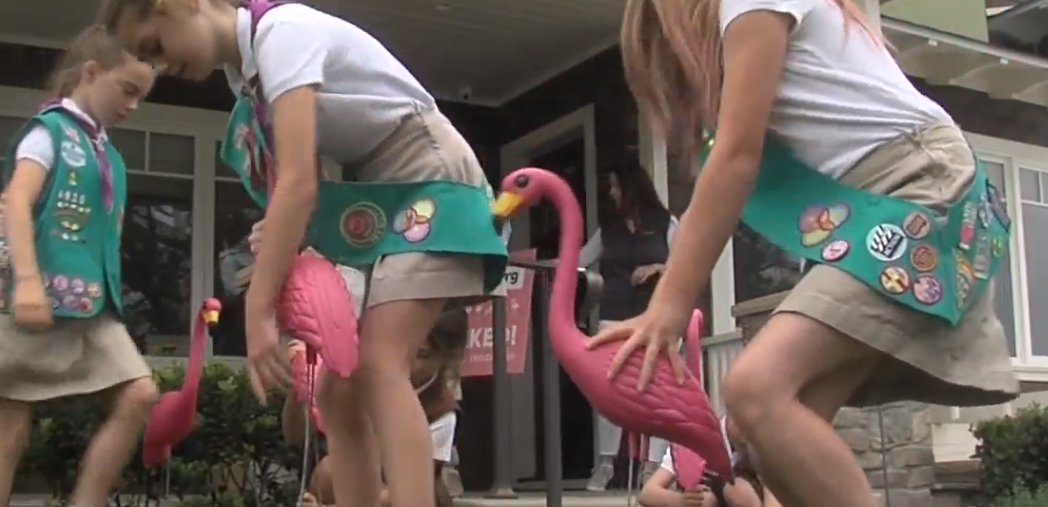 Girl Scout Flocking Fundraiser.png