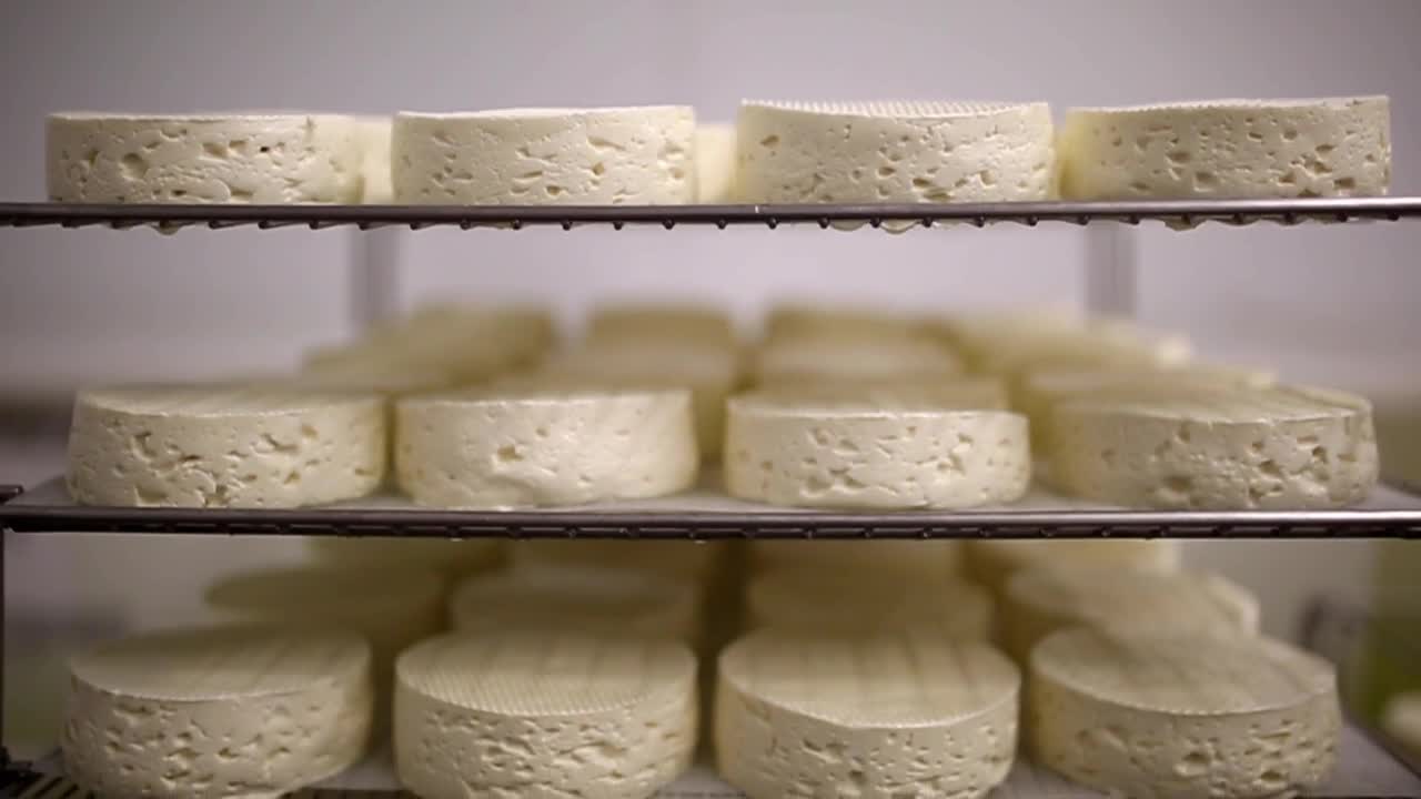 discover colorado_haystack mountain creamery.jpg