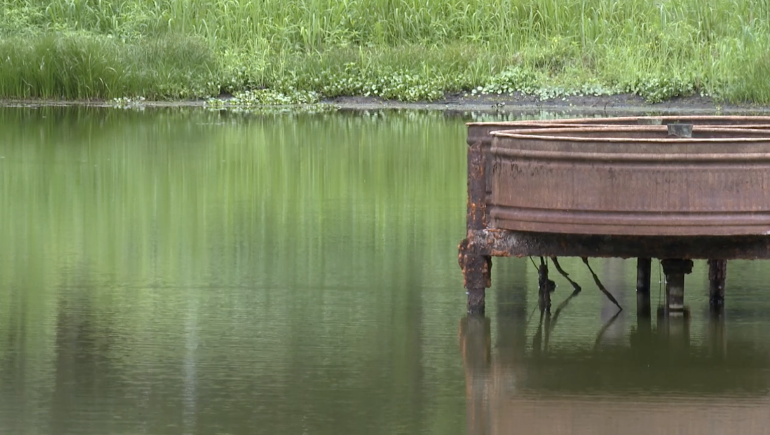 Drought conditions improve with May rainfall