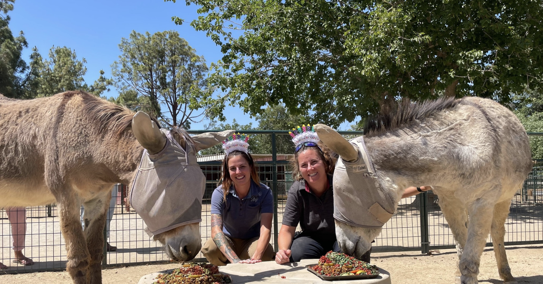 Screen Shot 2023-02-28 at 9.36.03 AM.png