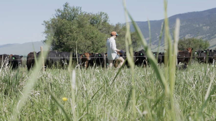 Thunder Road Farm