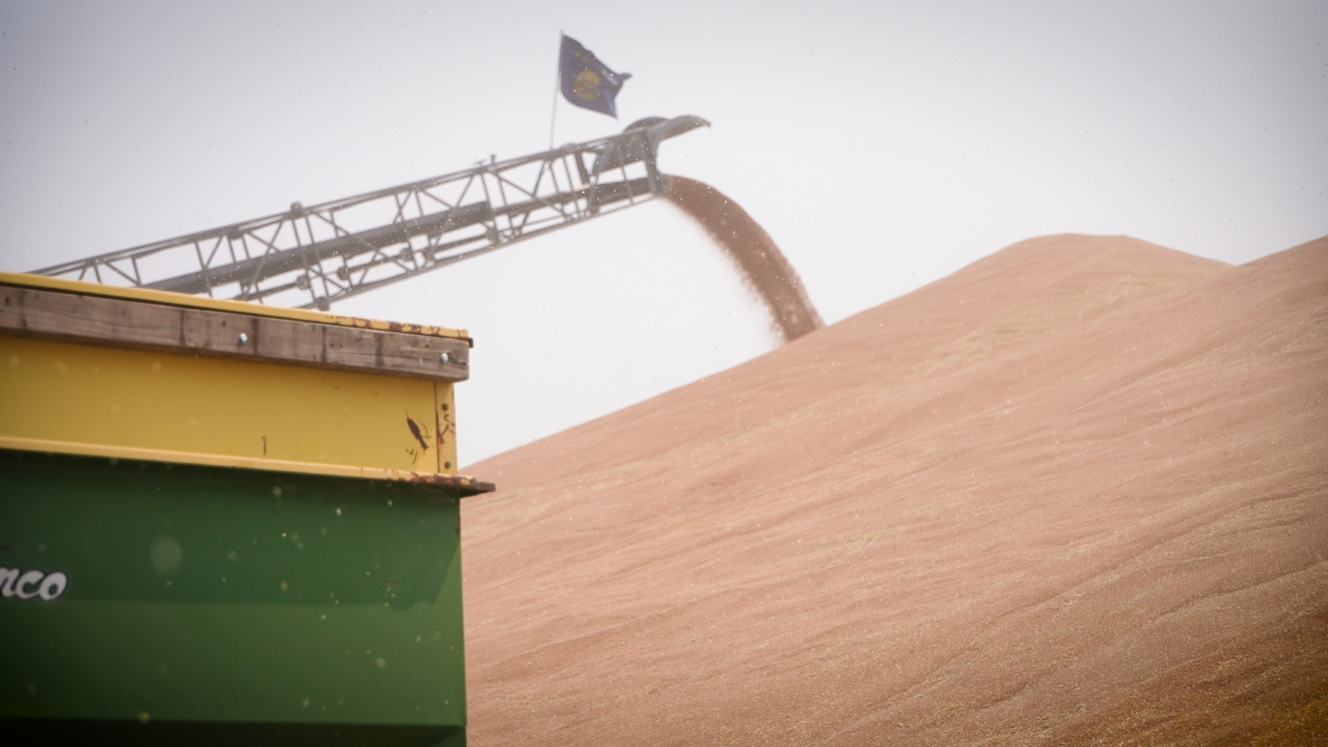 Grain during harvest season