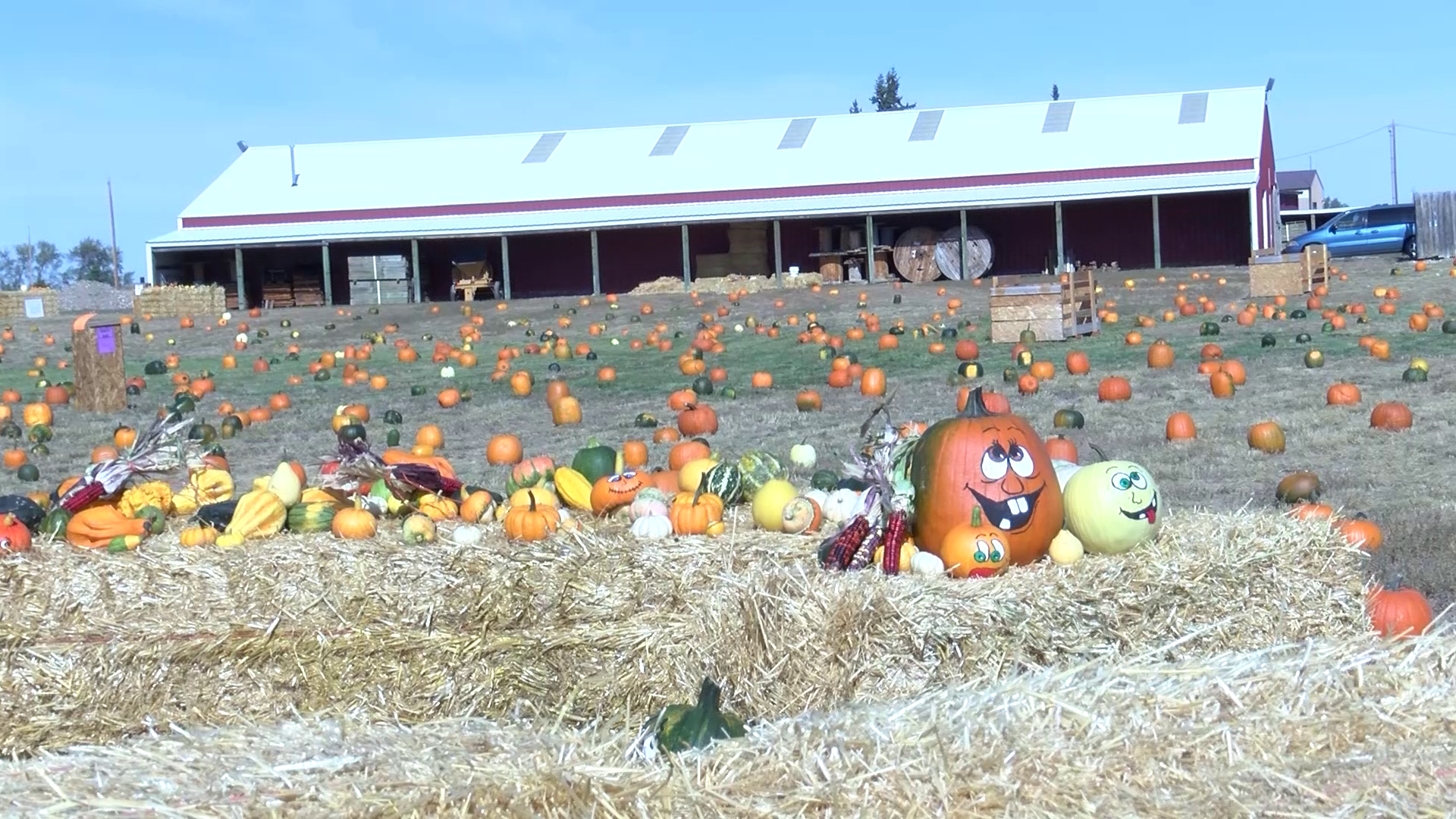 "Pumpkins For A Cause"