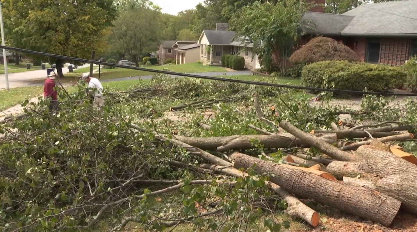 zandale tree and outage.png