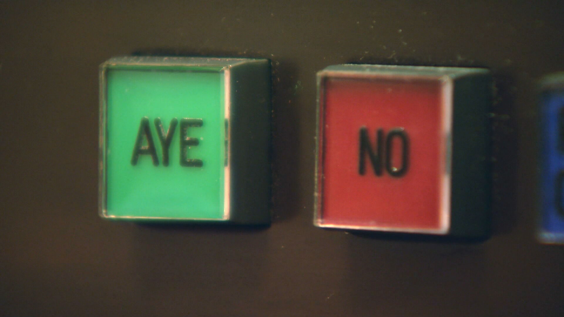 Tennessee legislature vote buttons.jpeg