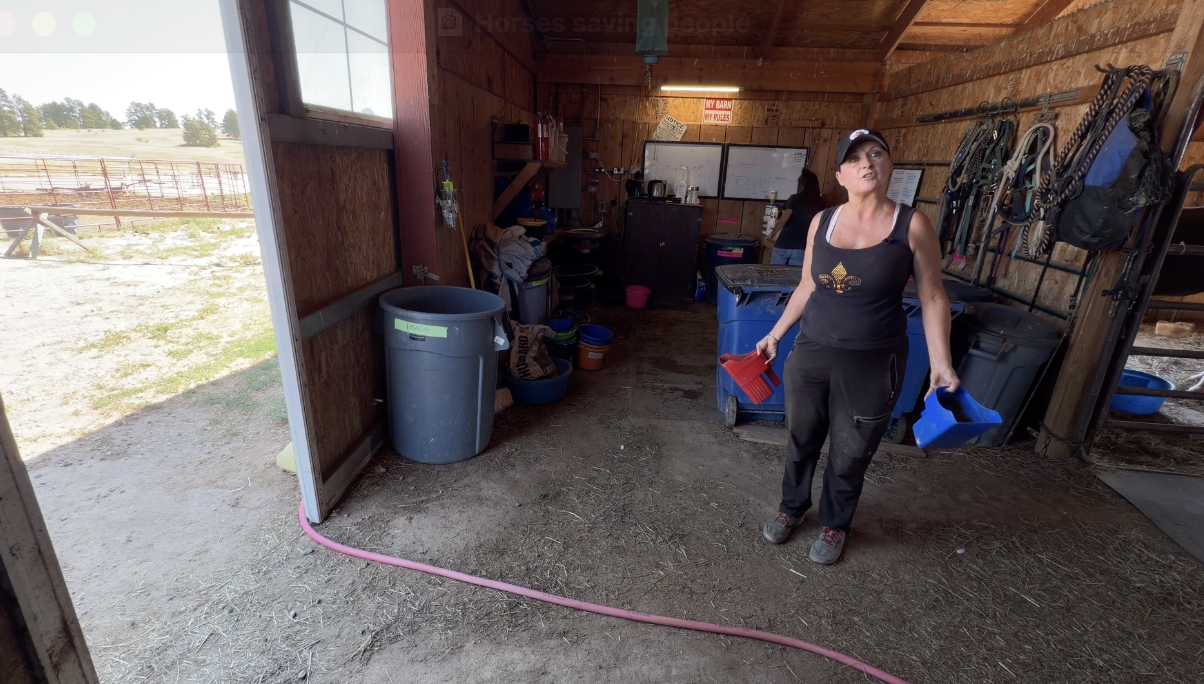 Candice doesn't get a day off from feeding and caring for over 100 rescued horses