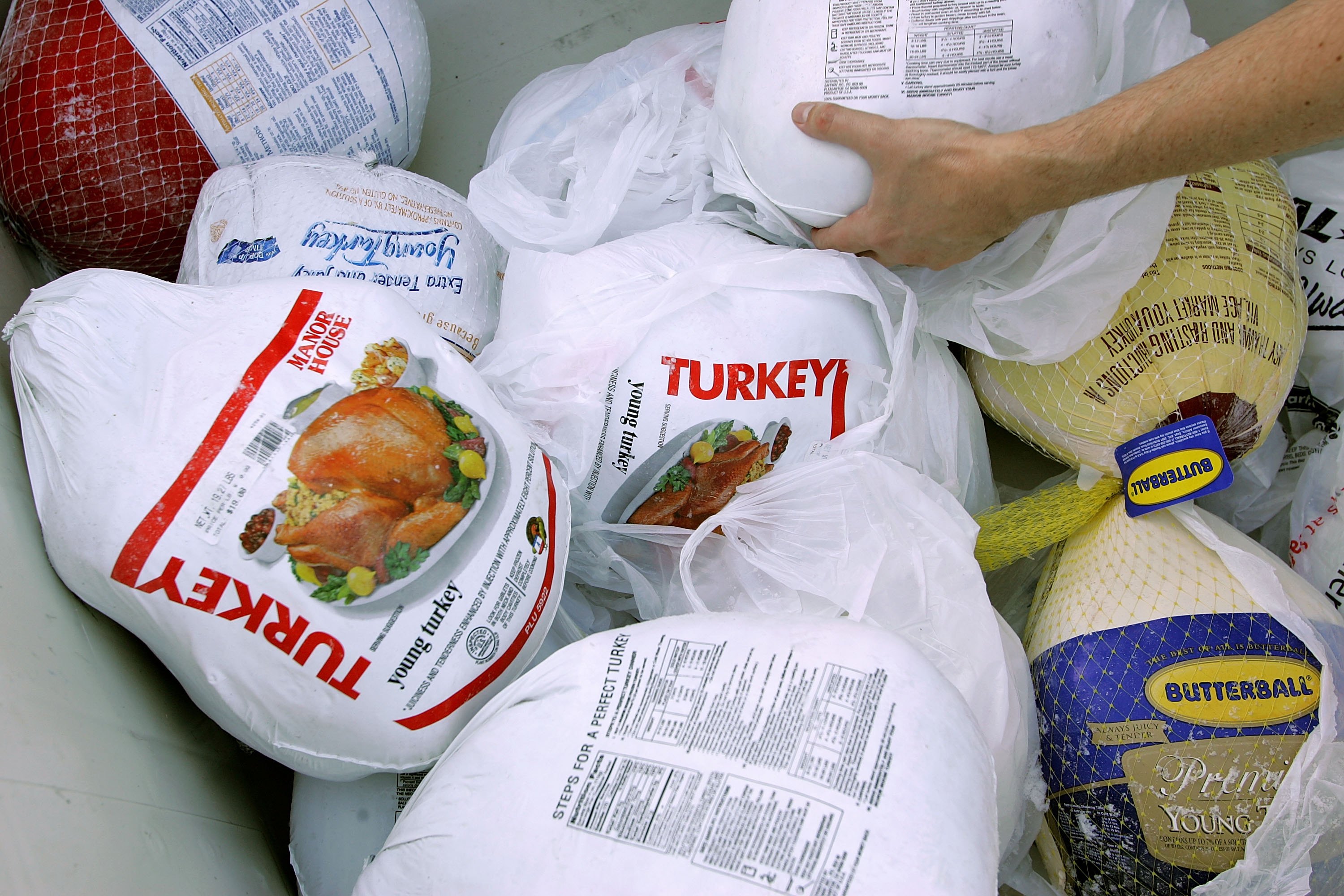 Turkey farmers blame avian flu for issues ahead of Thanksgiving - Vimarsana News