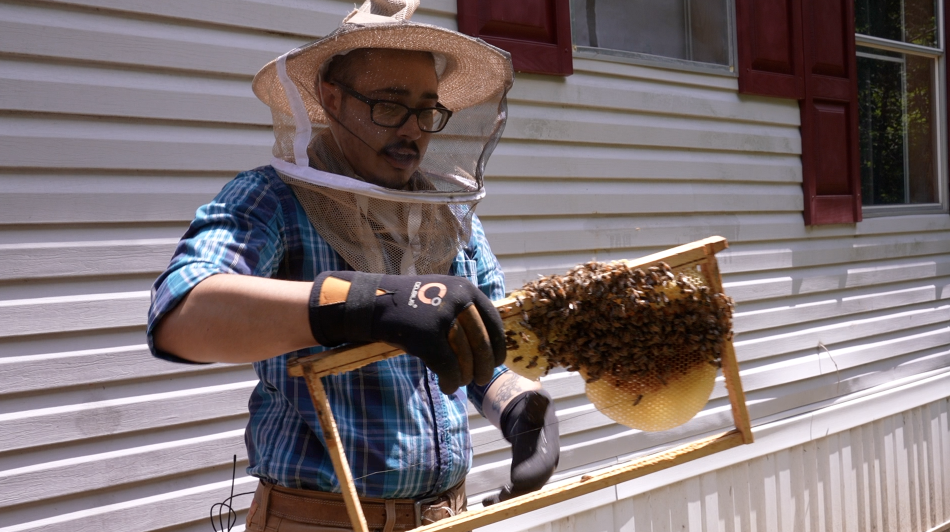 Portland beekeeper