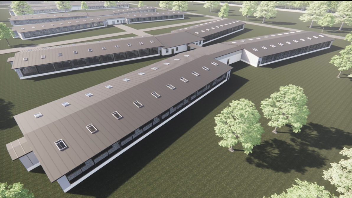 Bainbridge SHM render site