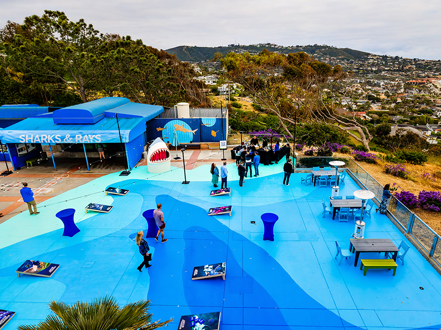 blue_beach_birch_aquarium_2.jpg