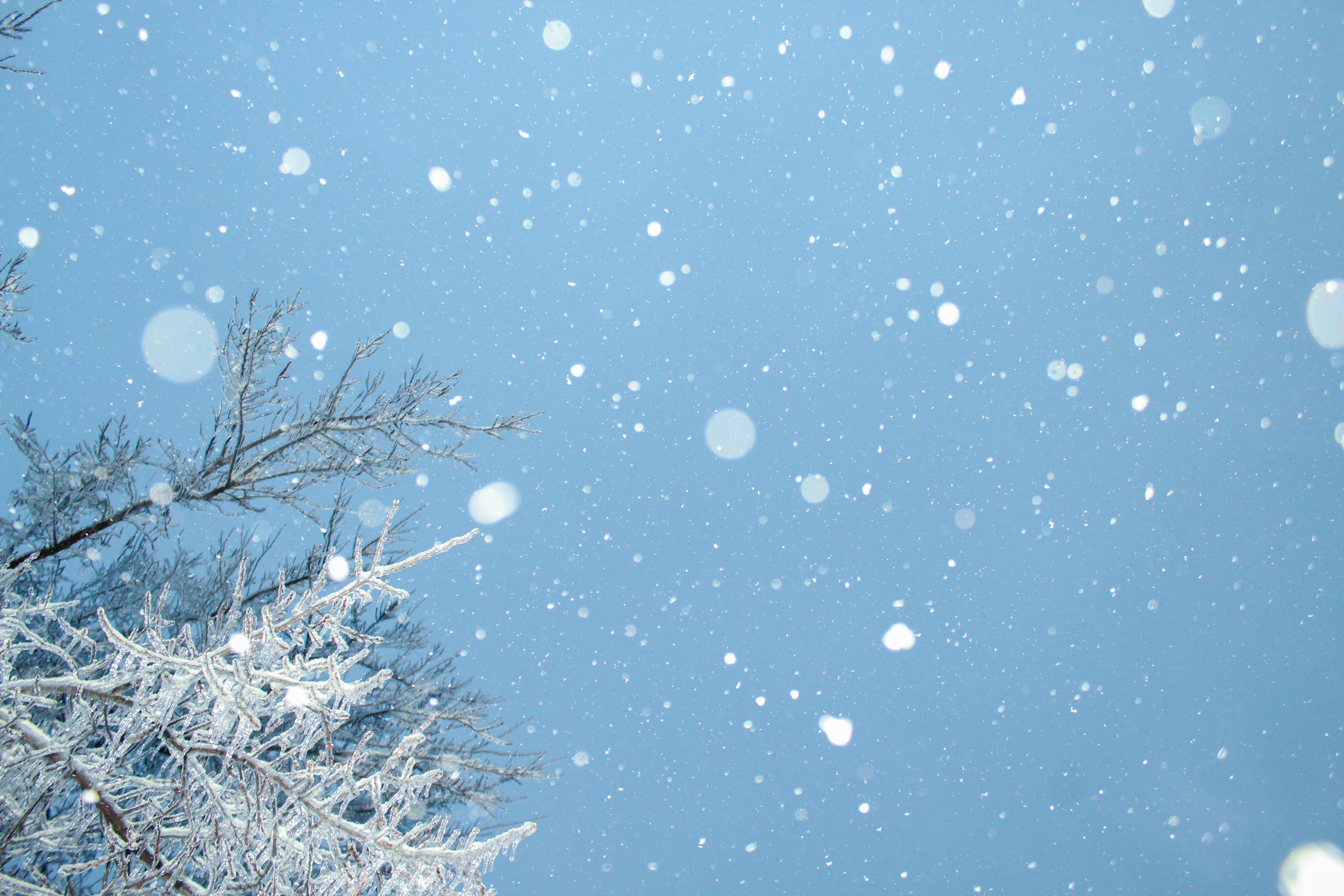 Snow stock photo