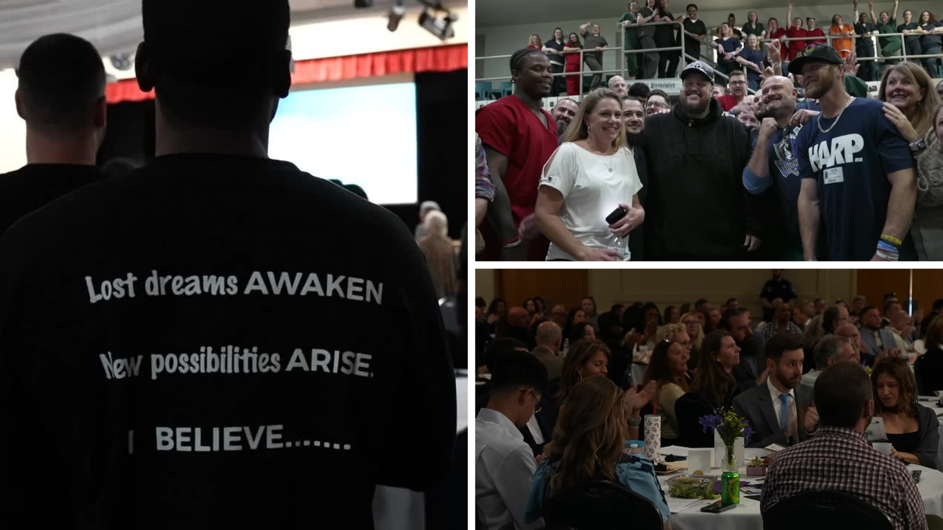 HARP 10 Year Anniversary