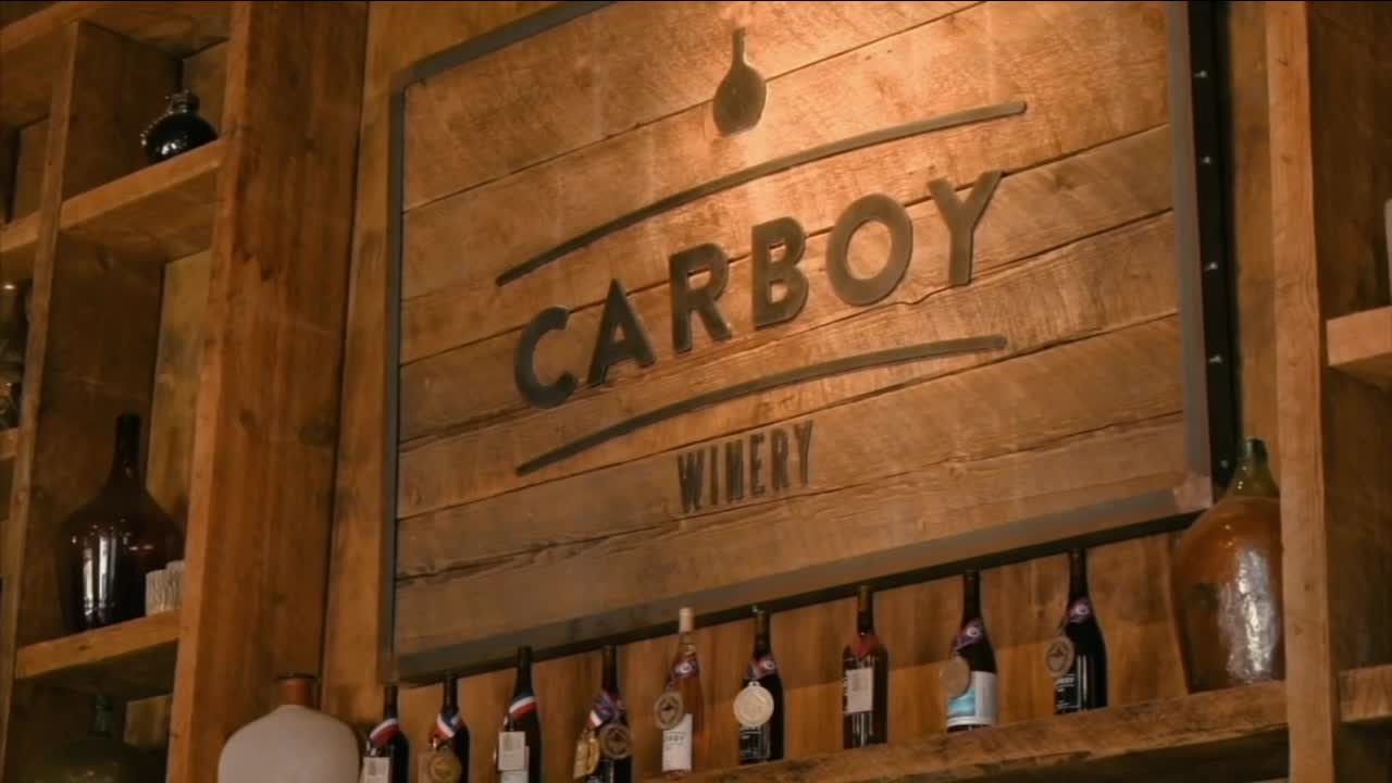 carboy winery