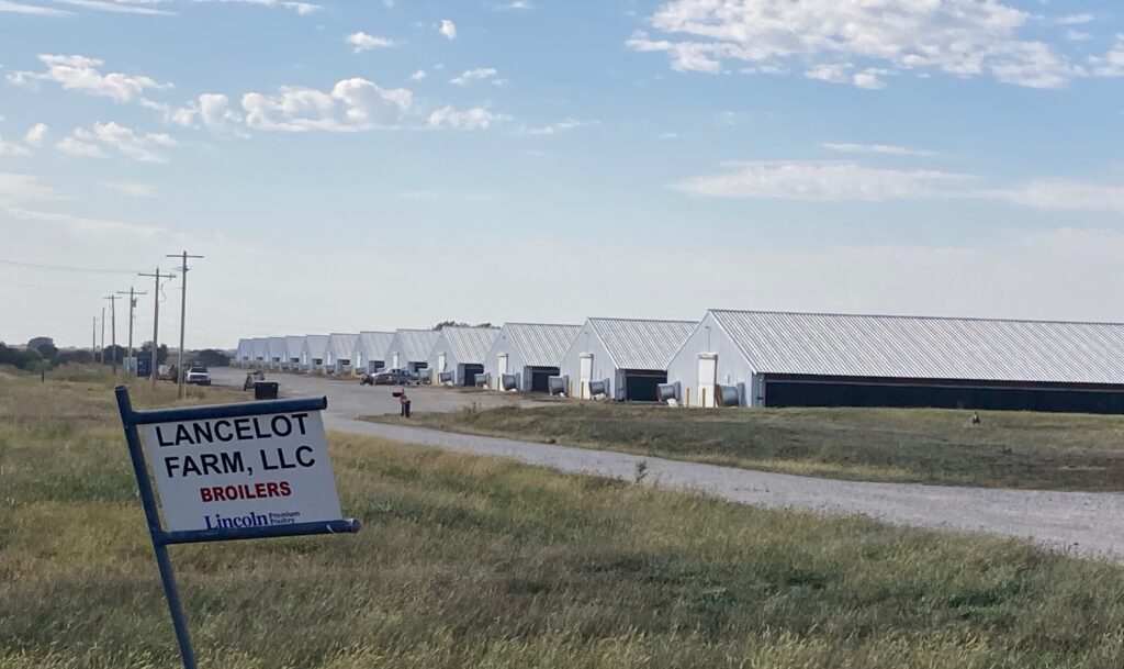 Chicken barns.jpg