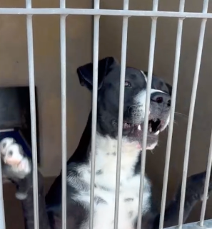 Screenshot 2025-10-29 at 5.14.40 PM.png