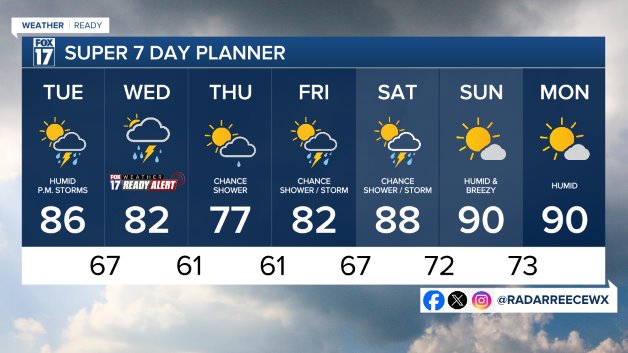 7 DAY FORECAST