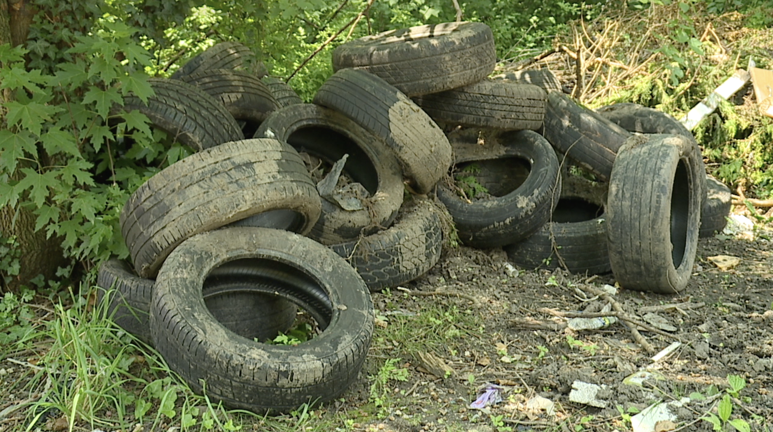 Screenshot 2025-06-23 at 5.28.36 PM.png