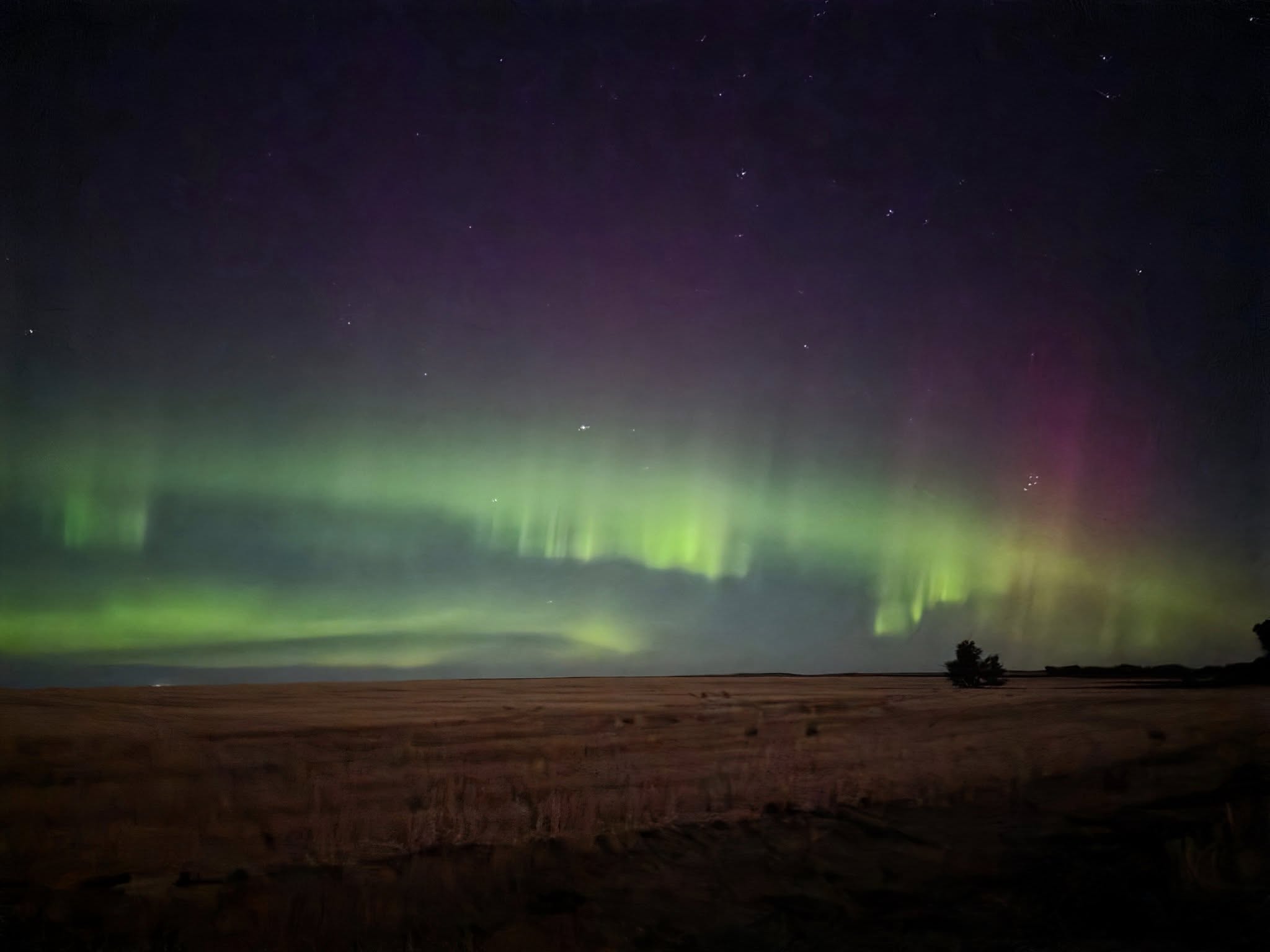 Havre northern lights