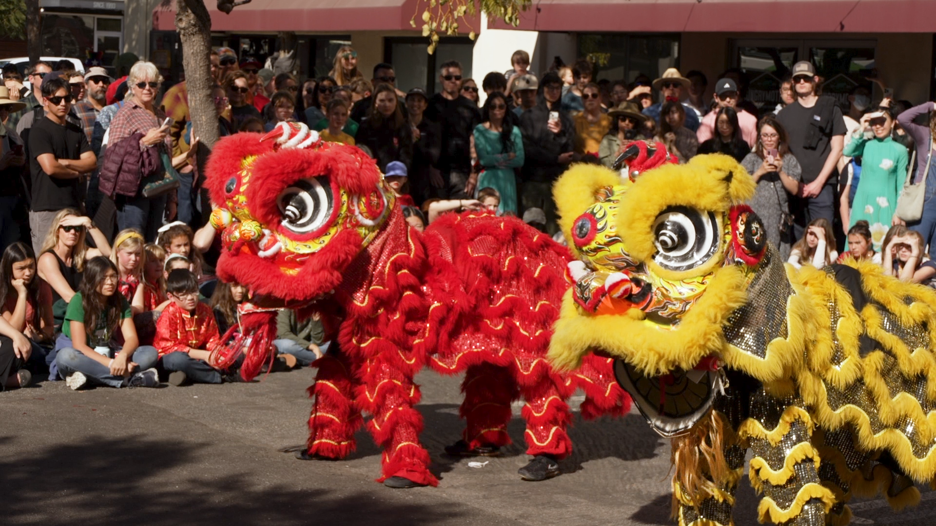 LUNAR NEW YEAR CAL POLY LION DANCE NATVO.00_00_10_16.Still001.png