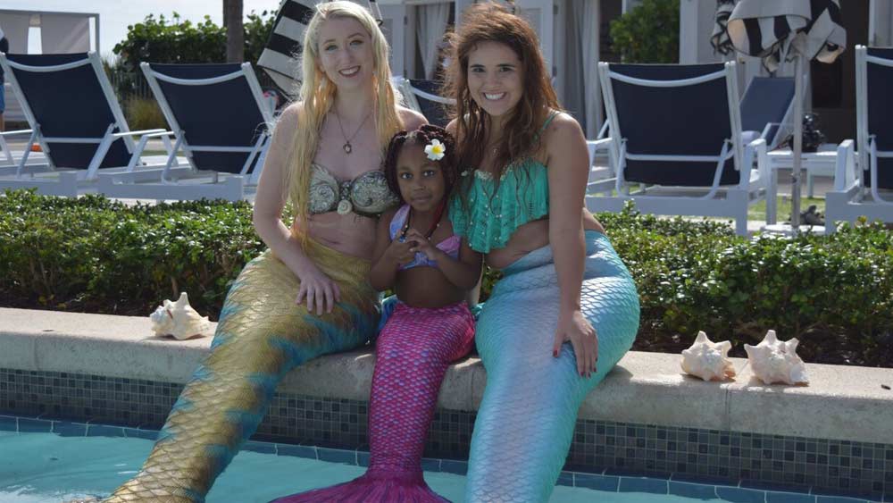 wptv-Ta'liyah-Baldwin-merma.jpg