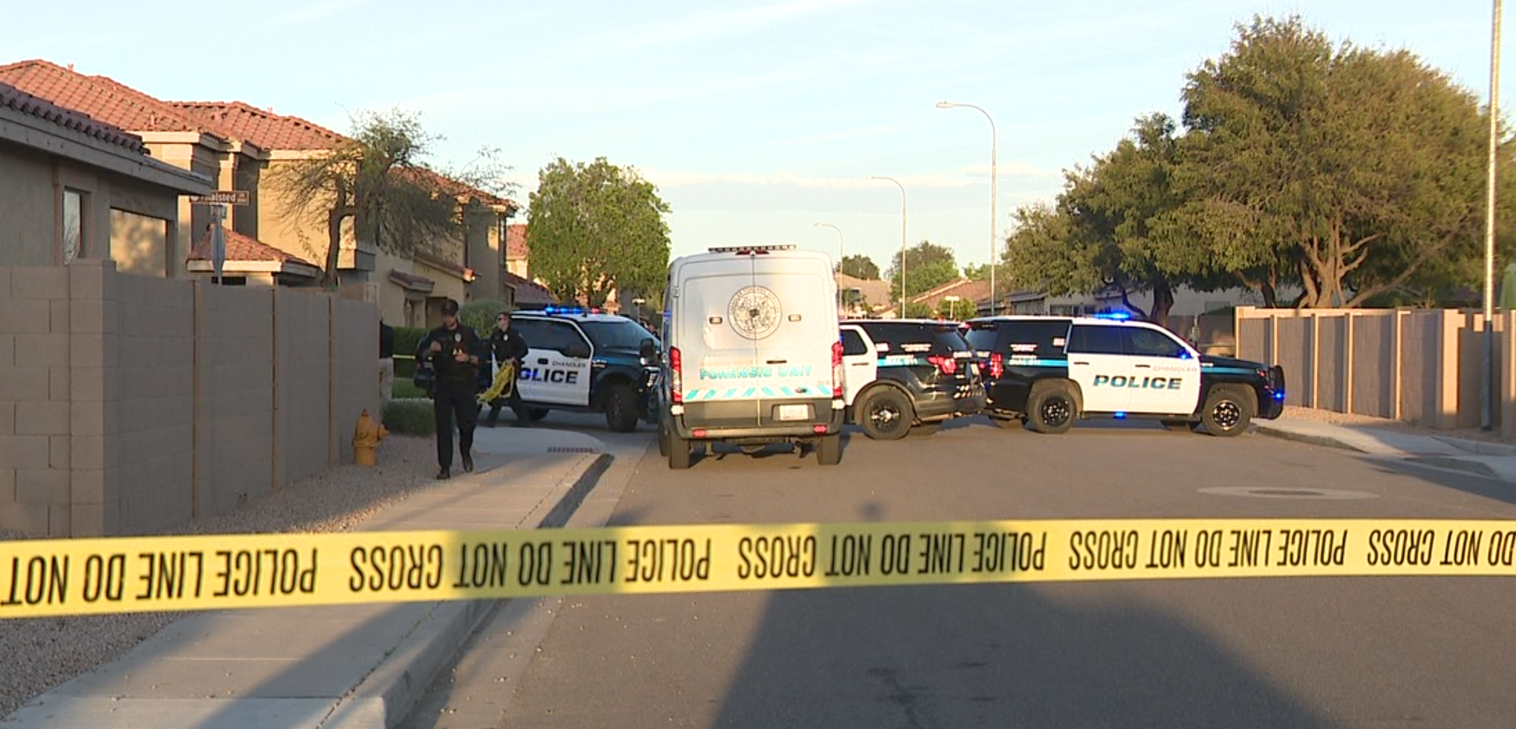 Chandler Hazeltine GSW