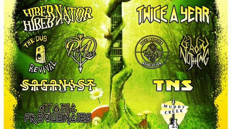 'Music In The Park'