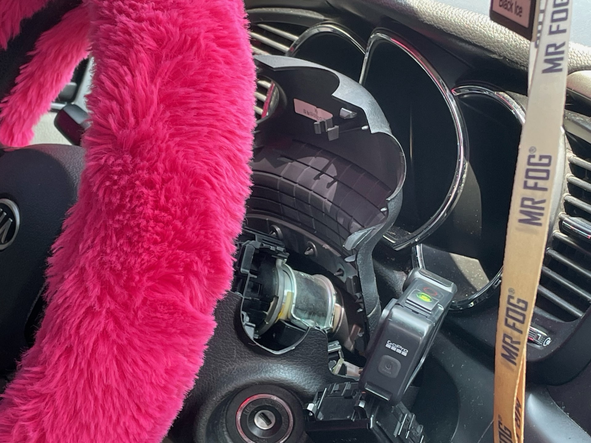 Attempted Kia theft 