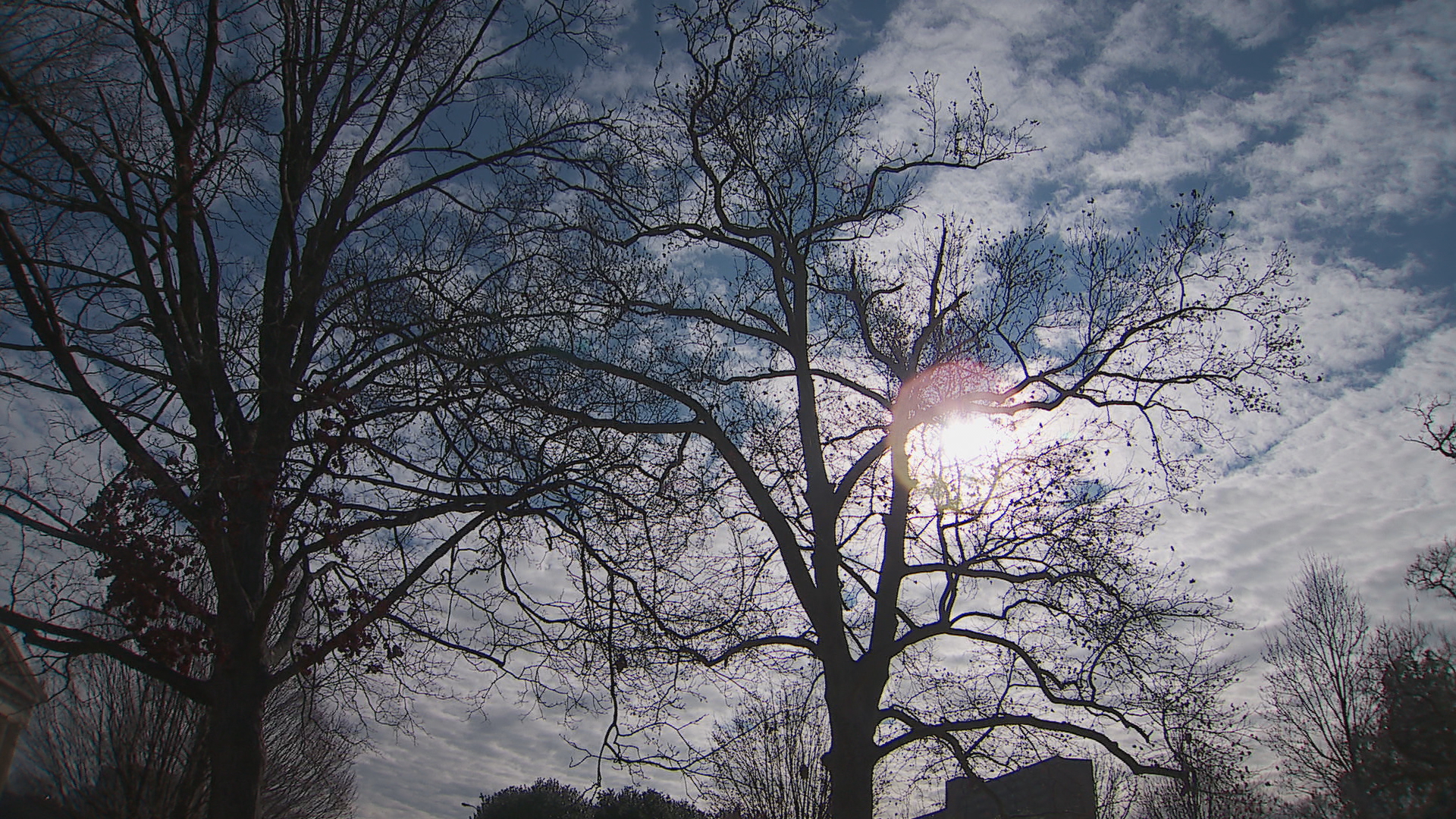 Dangerously cold weather is on the way: how it can affect your health