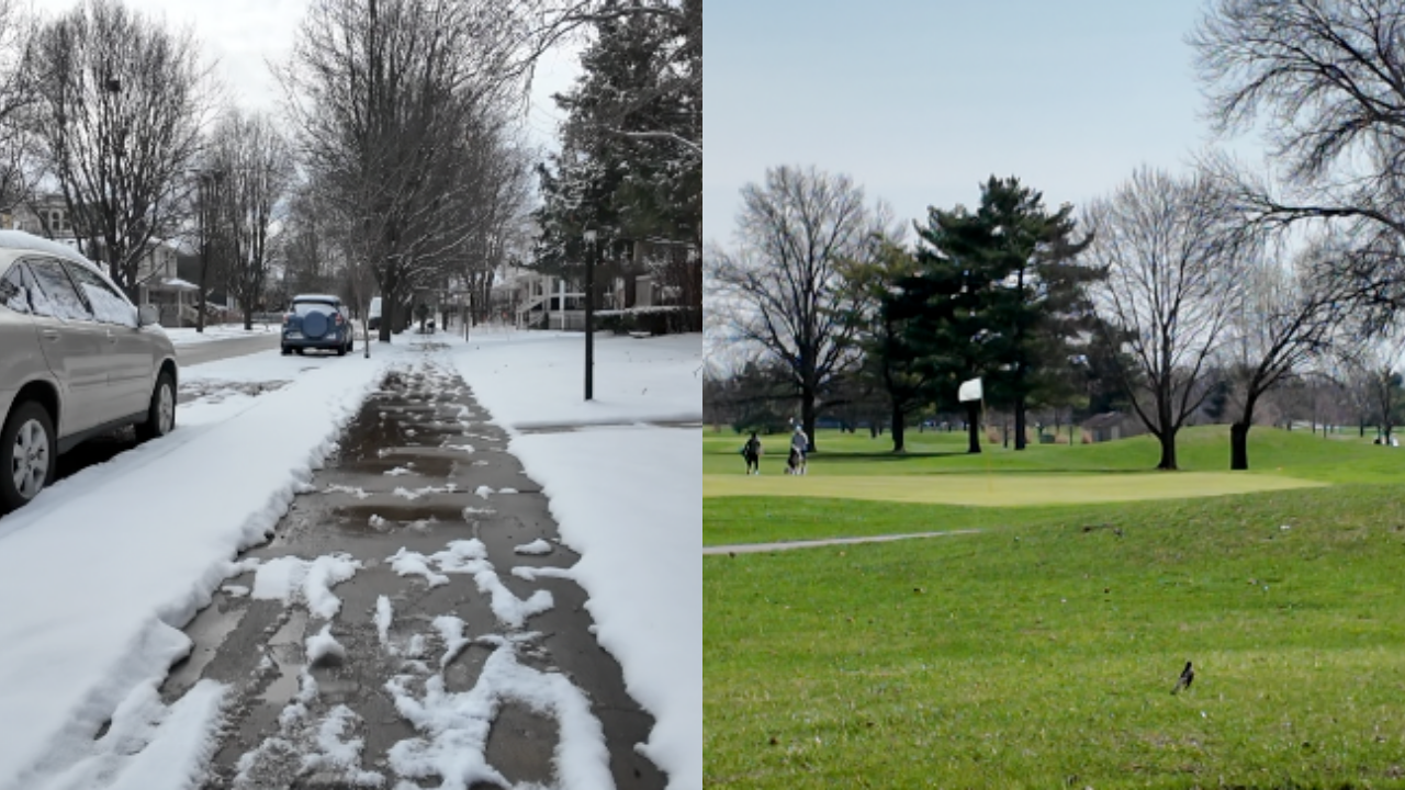 TWO PHOTOS SIDE BY SIDE (1).png