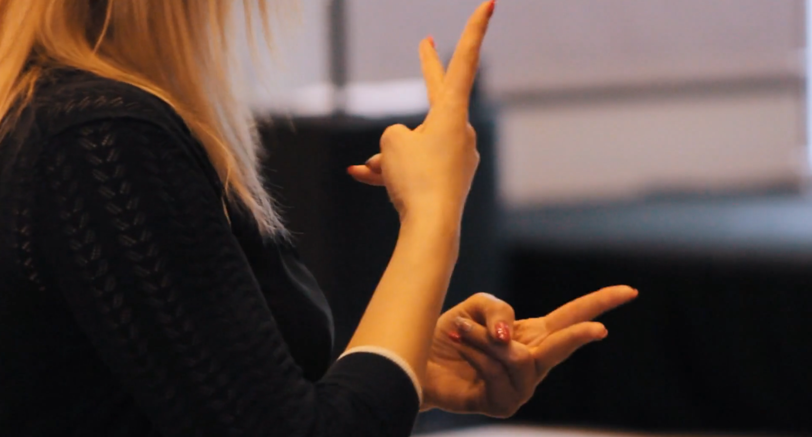 American sign language interpreter, ASL
