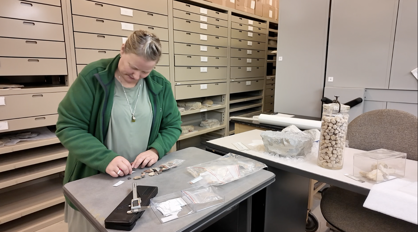 Screenshot 2025-10-15 at 5.32.41 PM.png