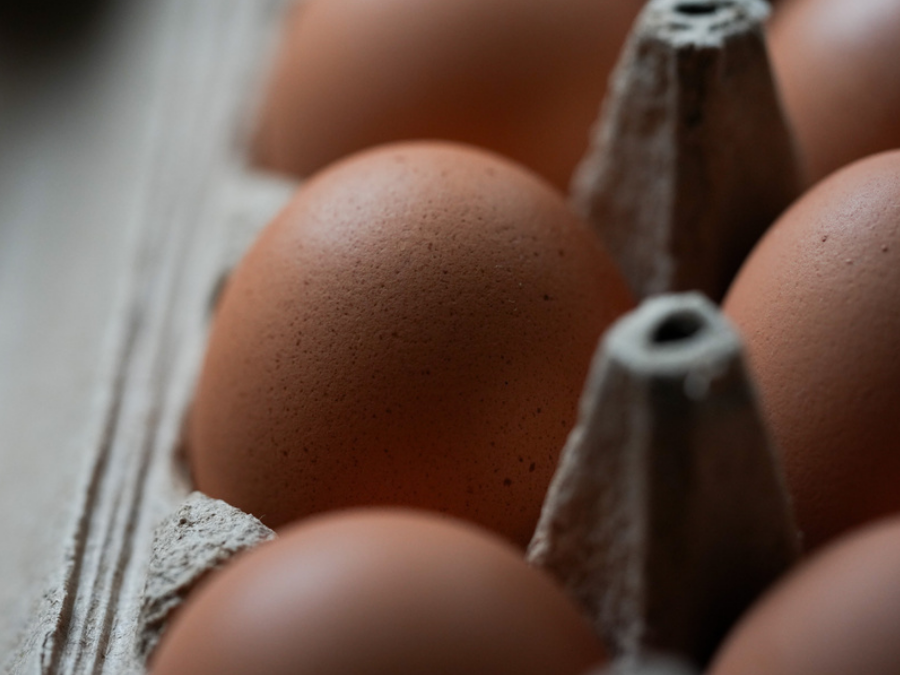 eggs_brown_closeup_apphoto.png