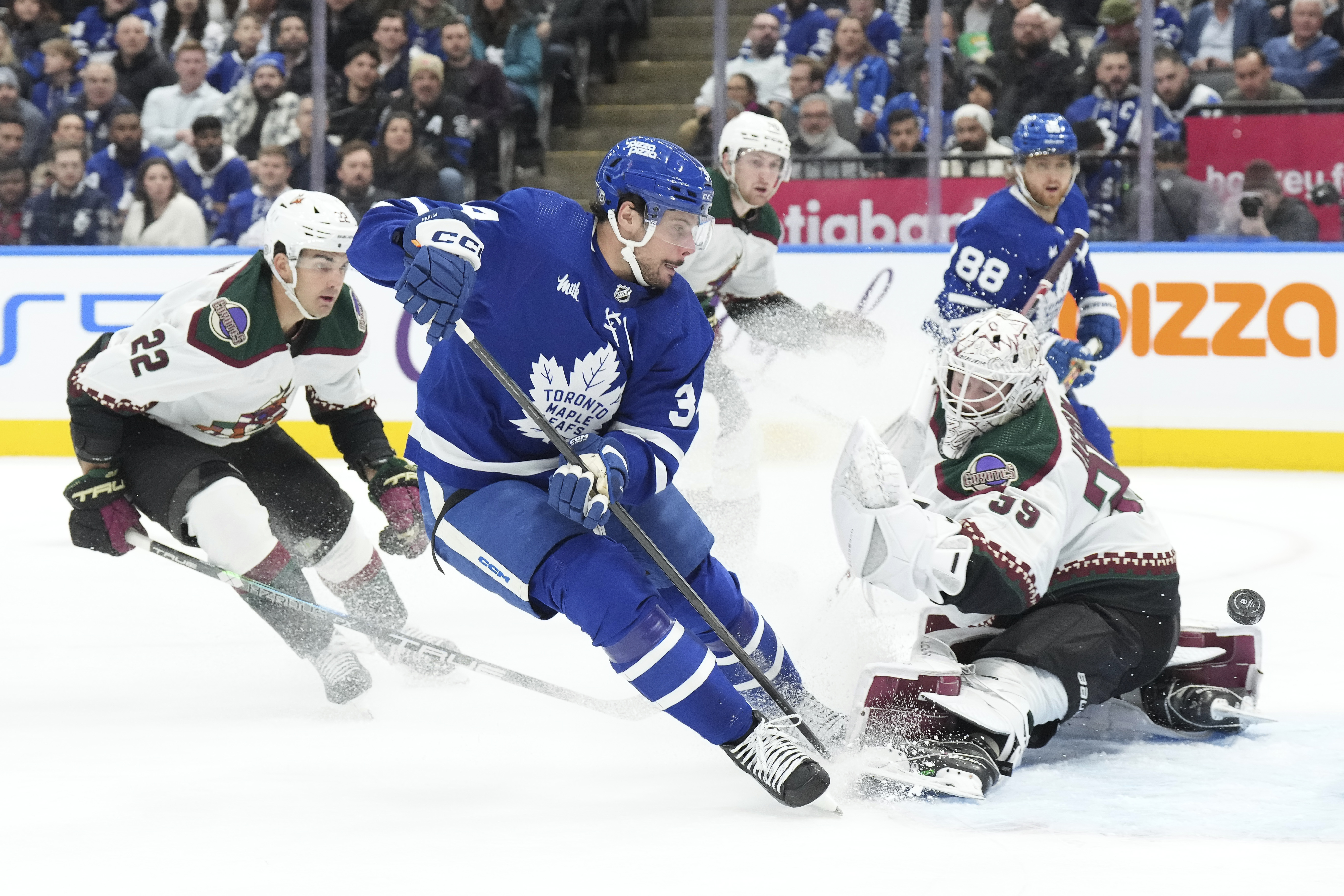 Coyotes Maple Leafs Hockey