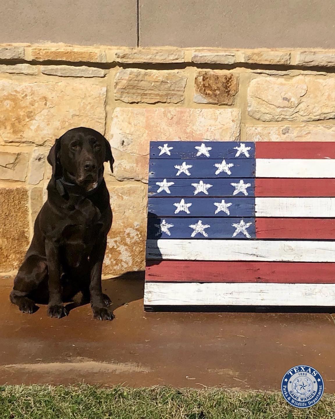 Texas Game Wardens K9 Turbo and flag.jpg