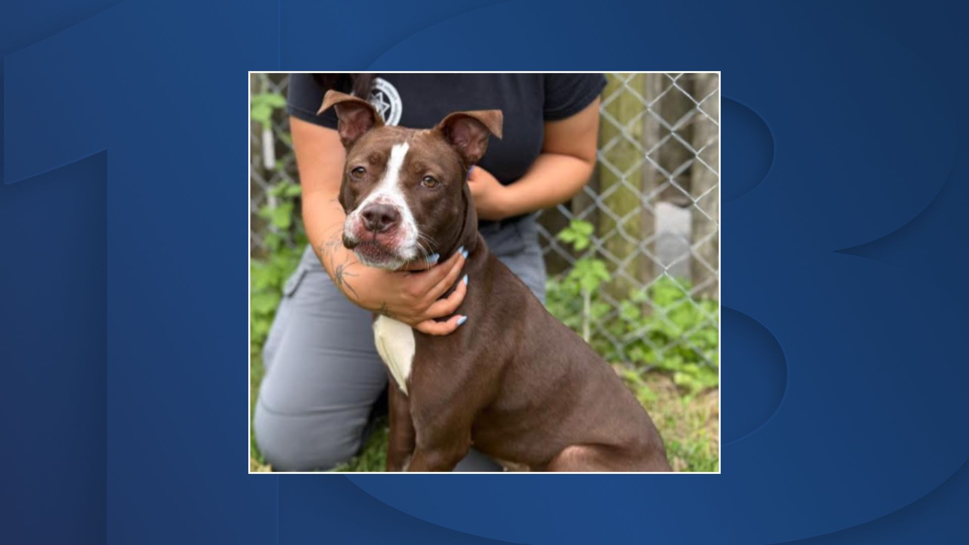 Featured Image Custom Edit (12).jpg