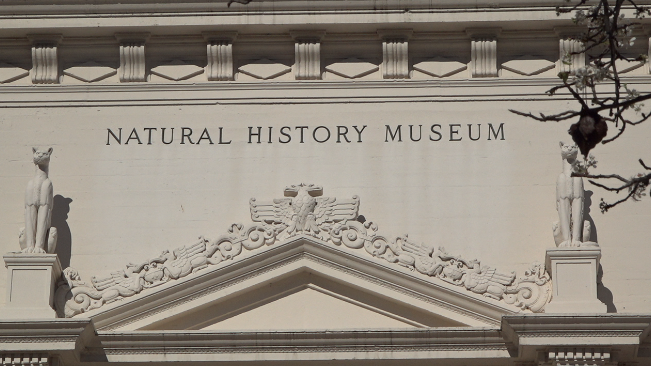 Museums at Balboa Park report a drop in attendance following the rollout of new paid parking regulations.