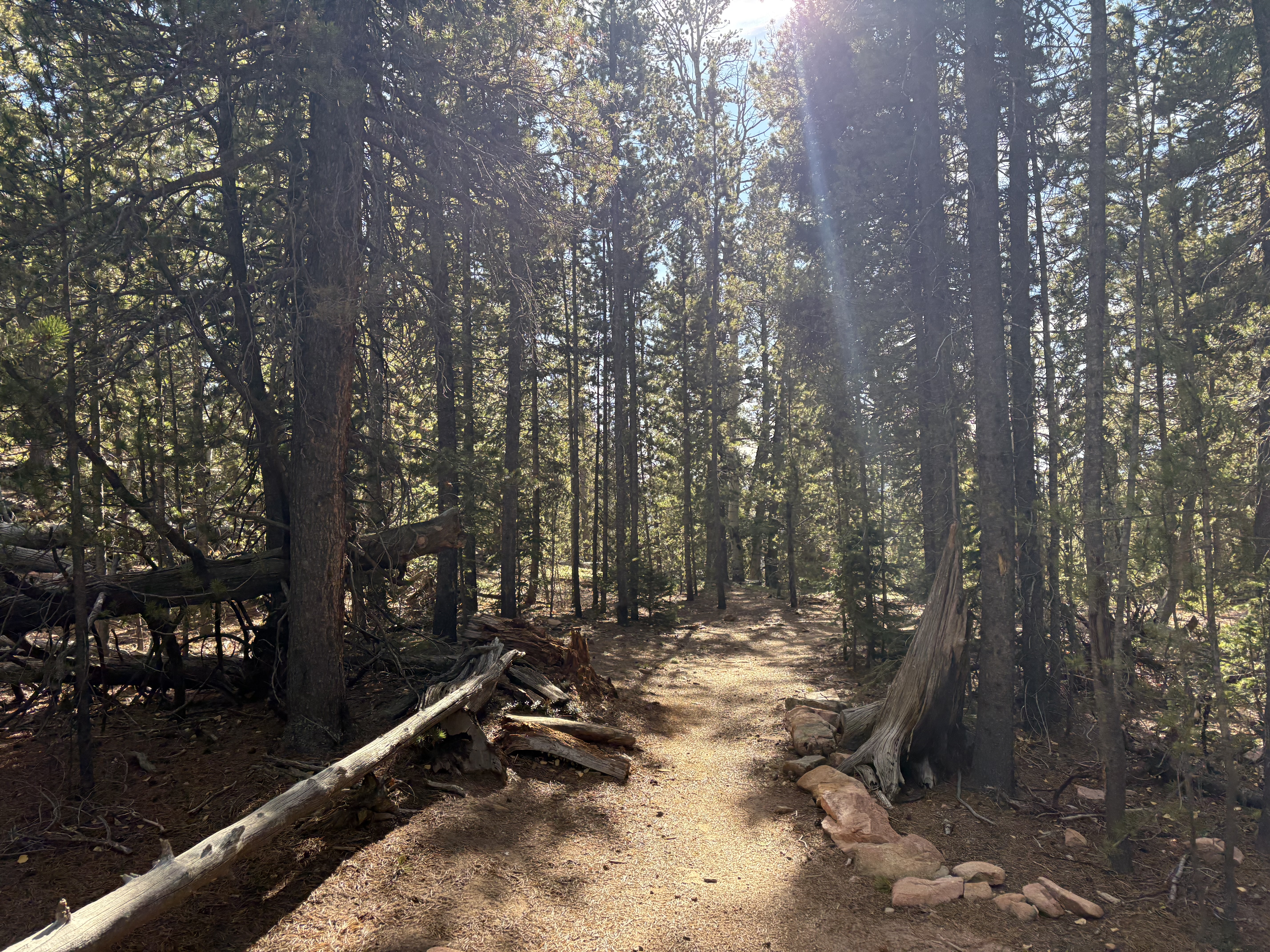 Staunton State Park_Deb Stanley