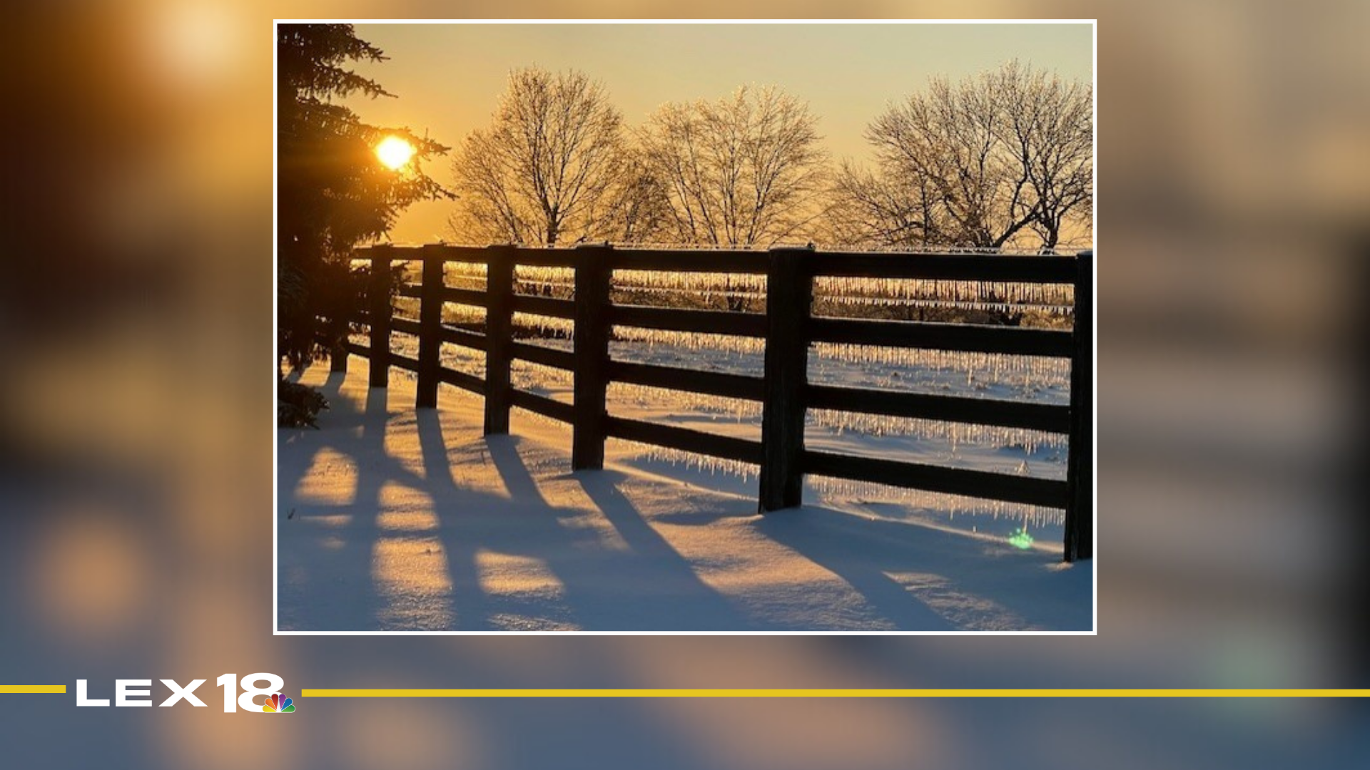 Mug Shot of the Week: Sue Kruzienski