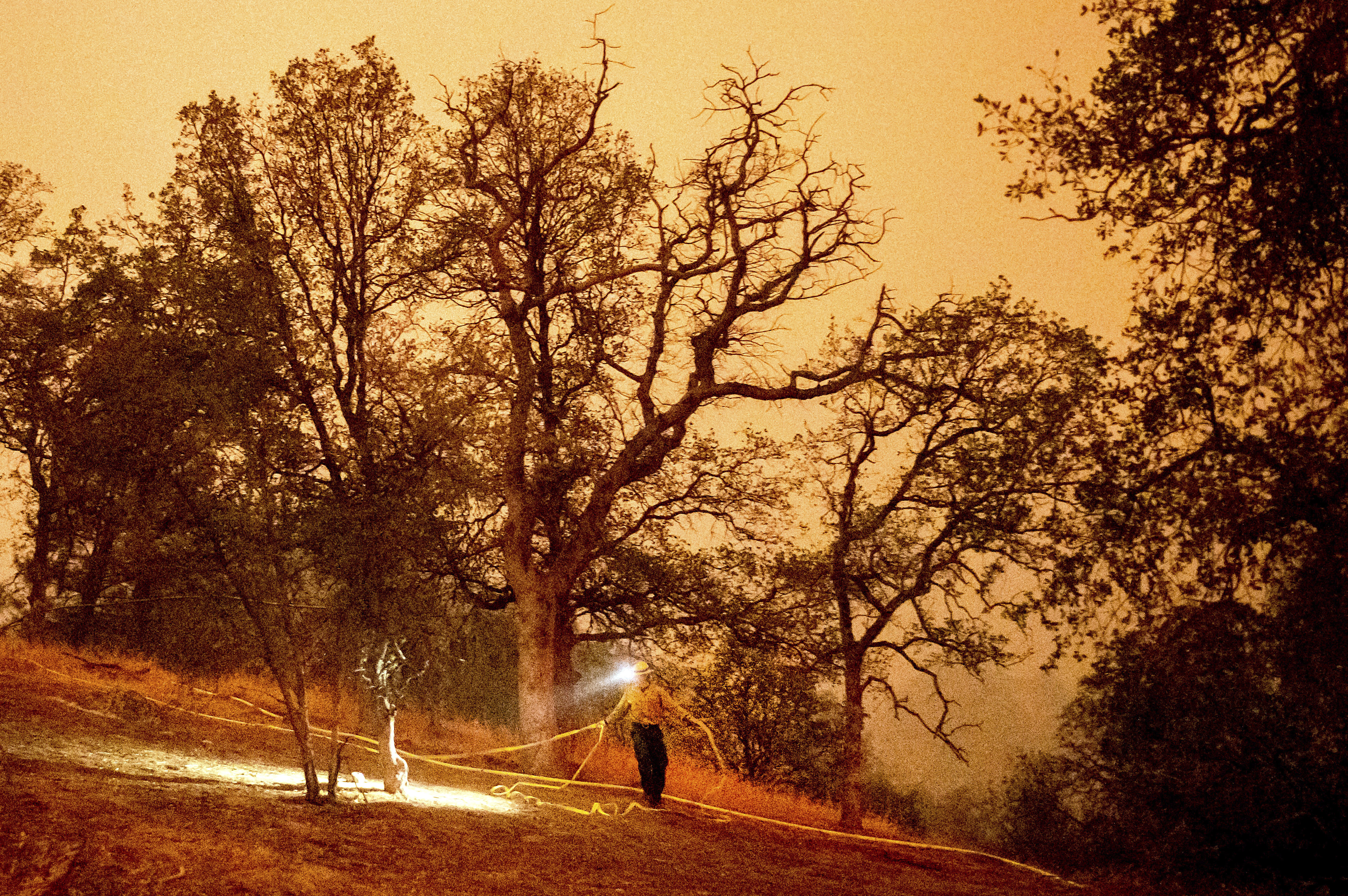 Western Wildfires