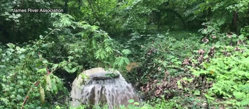 Environmental groups sue Henrico County over raw sewage violations