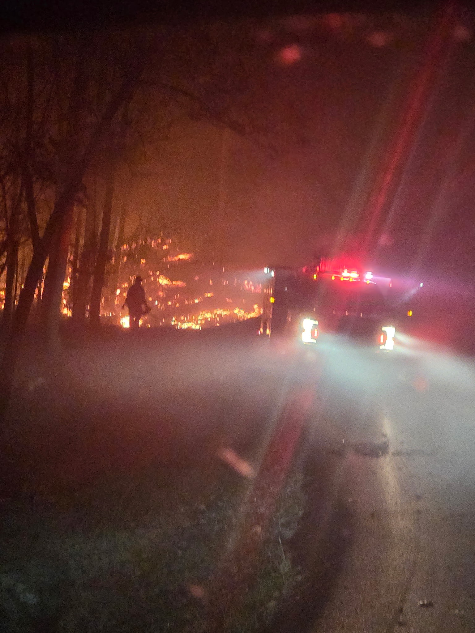 Fire crews battle forest fire in Stanton